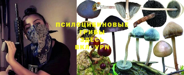 ГАЛЛЮЦИНОГЕННЫЕ ГРИБЫ Алексеевка