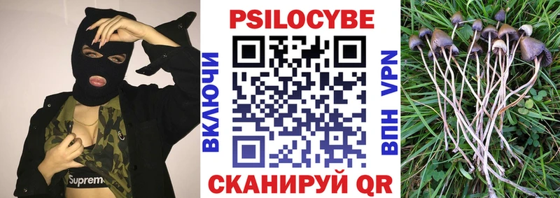 Псилоцибиновые грибы GOLDEN TEACHER Ардатов